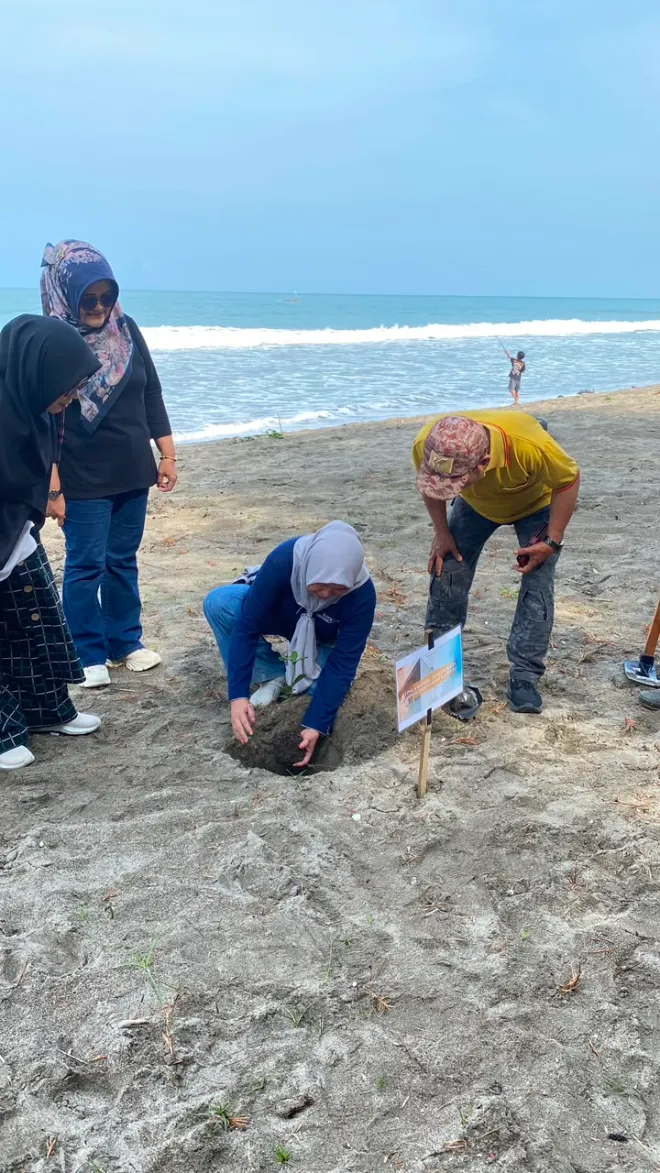 Penanaman vegetasi pesisir
